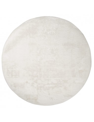 Tapis de Fourrure Rond Velours Blanc En savoir plus