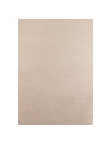 Tapis Lavable à poils doux - Beige meilleur choix