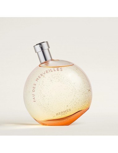 Eau De Toilette Eau Des Merveilles Hermes français