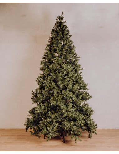 Sapin Cyprien 300cm acheter